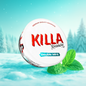 Killa Double Mint - 13mg